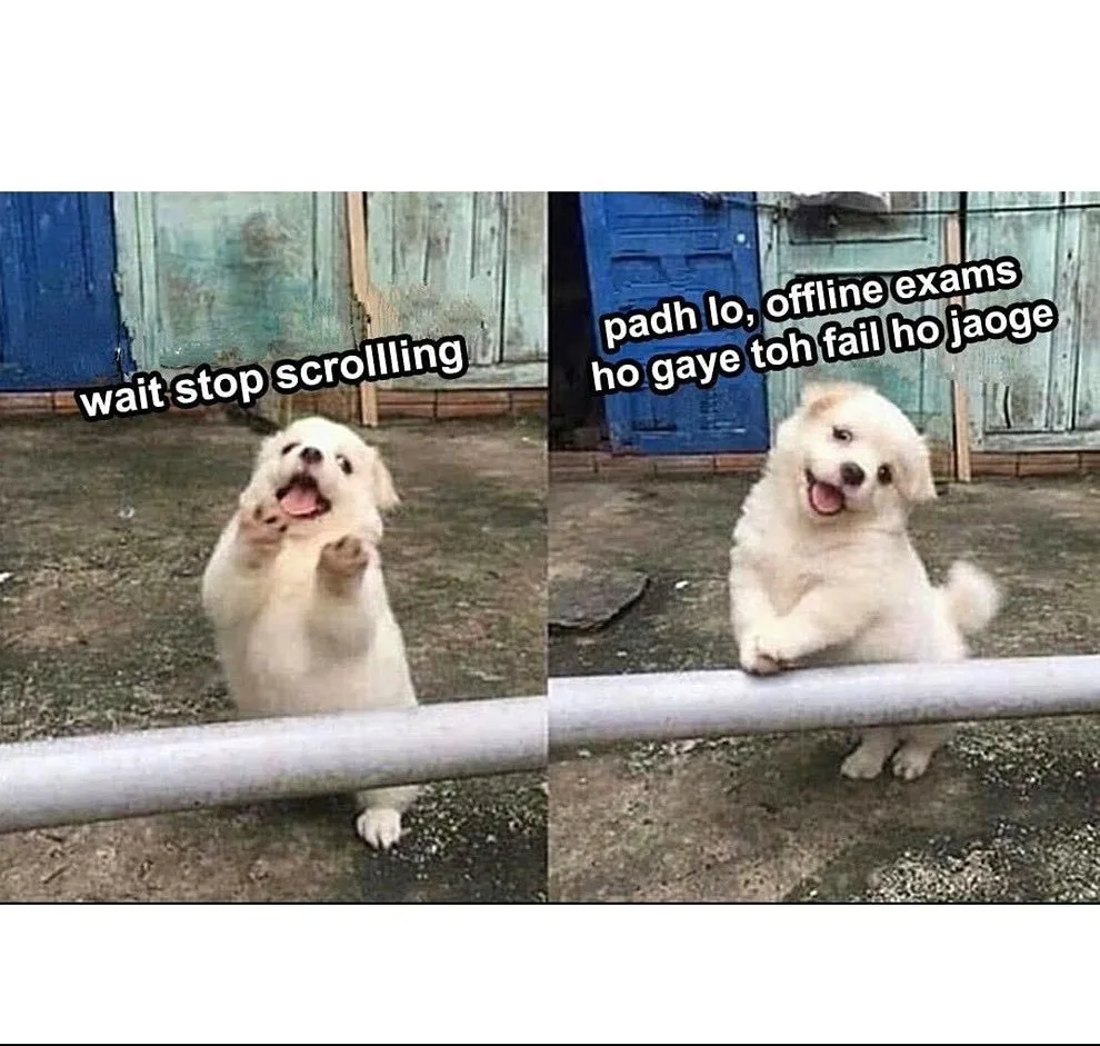 Meme